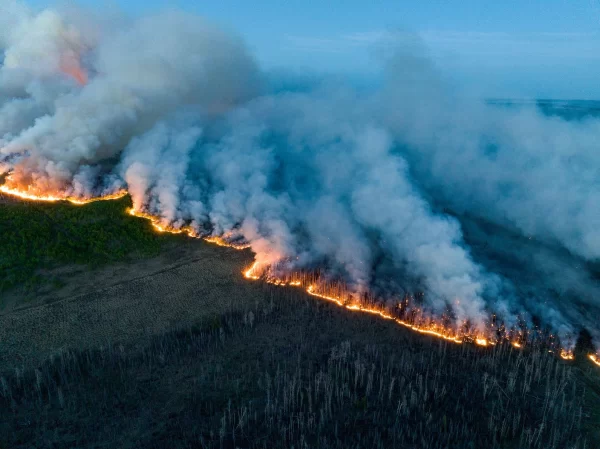 Forest fire in Canada